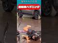 自転車ハプニング / Bicycle fails #ズッコケ #ママチャリ #ロードバイク #BMX #マウンテンバイク #サイクリング