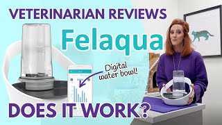 Feline Veterinarian Reviews FELAQUA  The Microchip Water bowl! Does it really work?