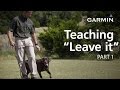 e-Collar Training with Garmin: Teaching “Leave it,” Part 1 e-Collar Training with Garmin: Teaching “Leave it,” Part 1