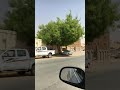 شجرة الن يم جميلة ظليلة سريعة النمو مع ملاحظة إبعادها عن خزان المنزل بما لا يقل عن خمسة أمتار شجرة الن يم جميلة ظليلة سريعة النمو مع ملاحظة إبعادها عن خزان المنزل بما لا يقل عن خمسة أمتار