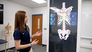 Digital cadavers enhance UW-Eau Claire students' learning in classes and labs