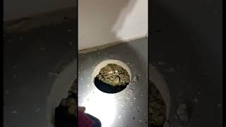 How To Make A Radon Suction Point! #radon #concrete #business #construction #hilti #drill #work