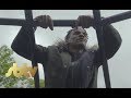 Political Peak | Sentimental [Music Video]: SBTV