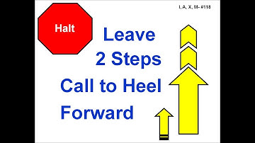 118. HALT – Leave 2 Steps – Call to Heel – Forward