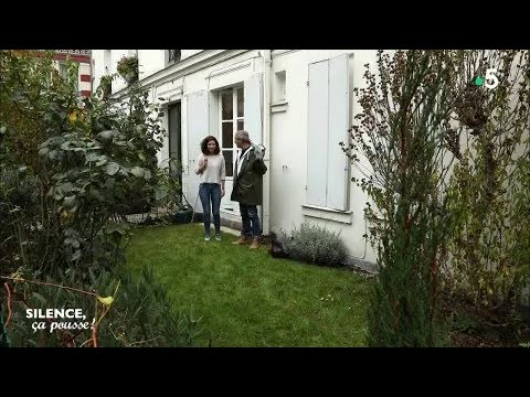 Vidéo: L'airelle Poussant Dans Le Jardin