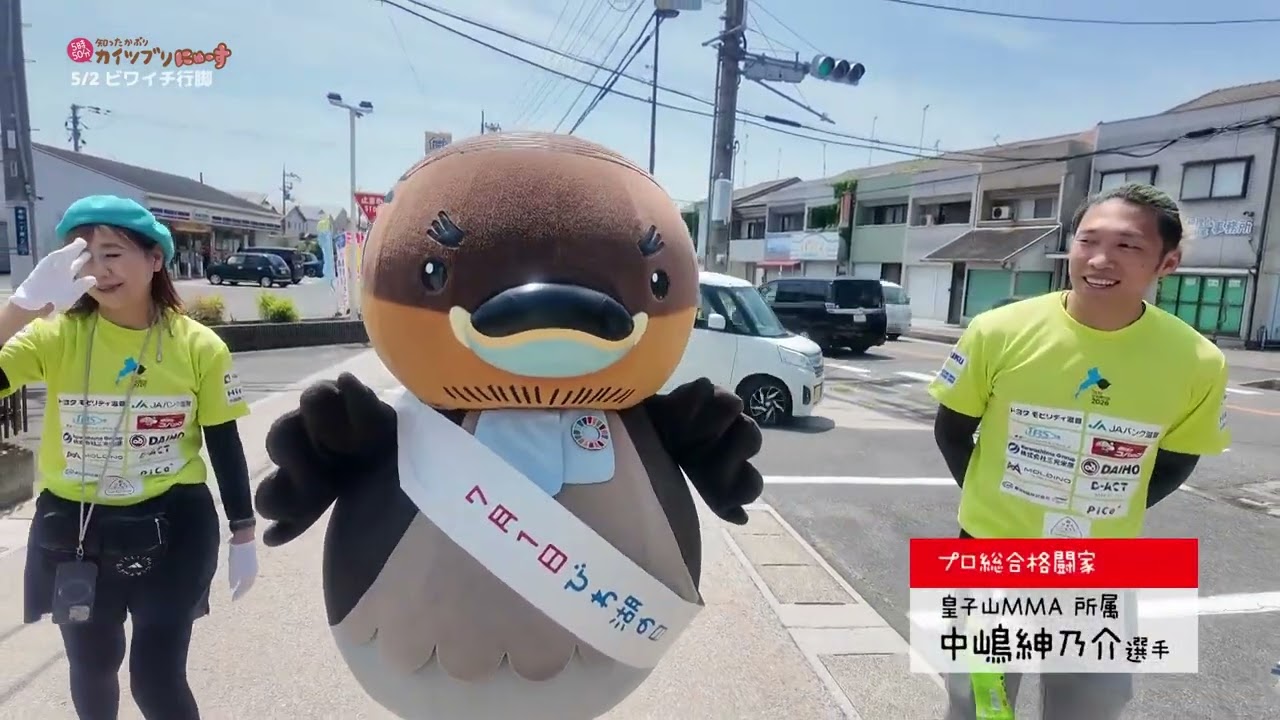 2026/5/26放送・知ったかぶりカイツブリにゅーす - YouTube