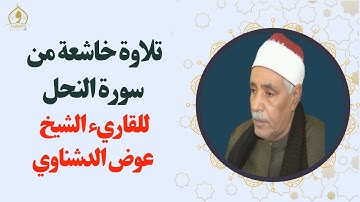 تلاوة خاشعة من سورة النحل - القارئ الشيخ حسن عوض الدشناوي