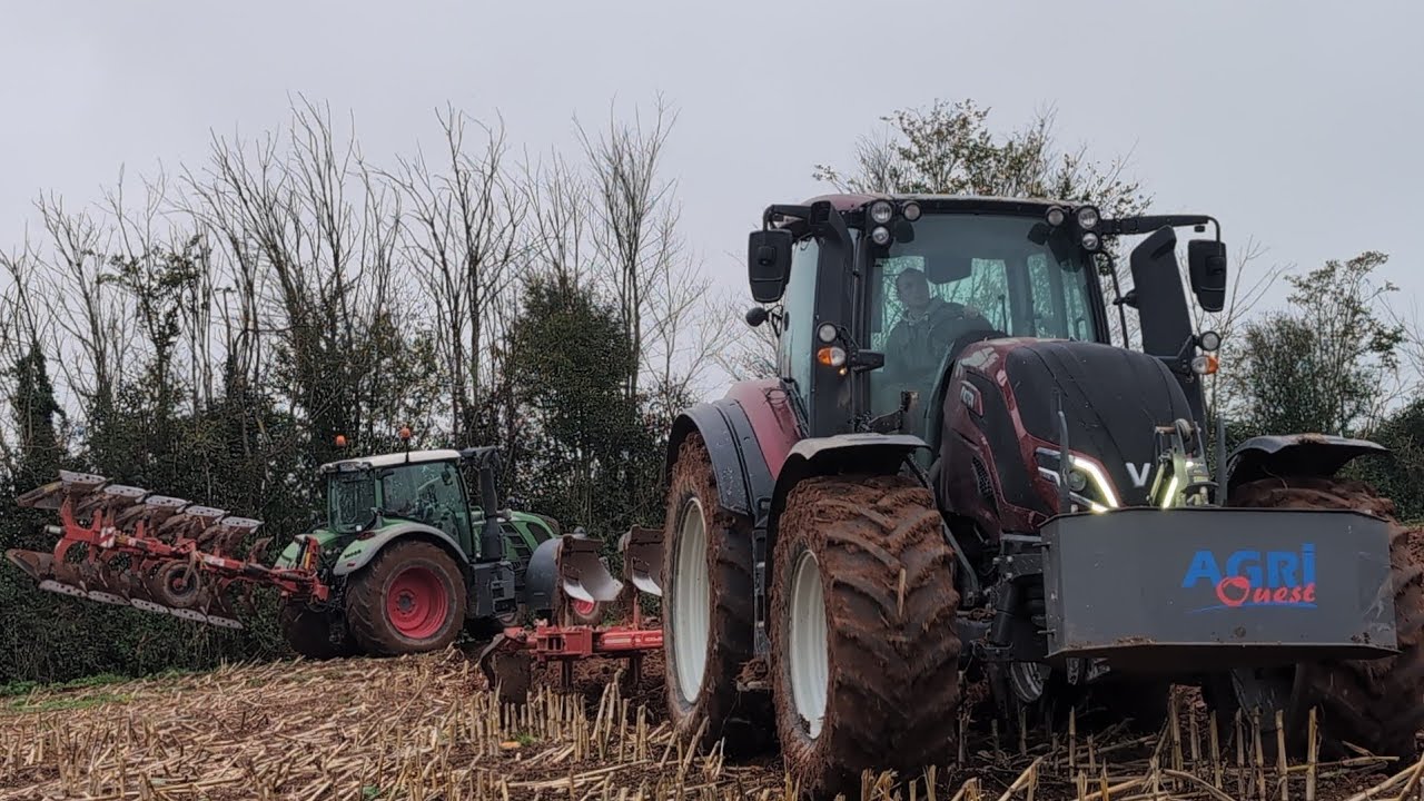 semis de blé 2024 en Normandie 🇫🇷