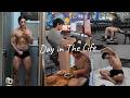 A Day in My Life as a Natural Bodybuilder ๐๏ธโโ๏ธ
