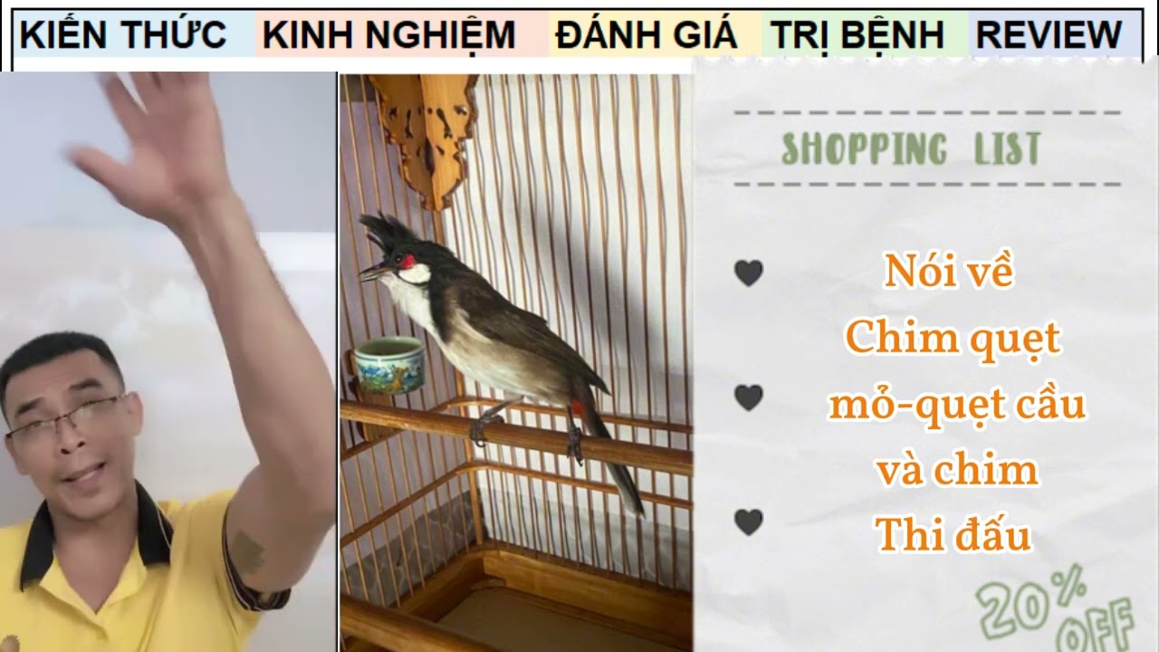 Nguyên nhân chim đi phân nát là gì, và cách chăm chim Thi ra sao?