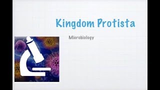 Kingdom Protista (part 1) || Microbiology