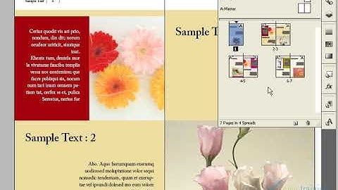 Adobe Indesign Tutorial in Tamil | Move Pages | Covai Babu