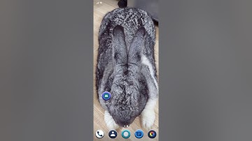 Java Android: App Xem video by Tiến lớp Android37