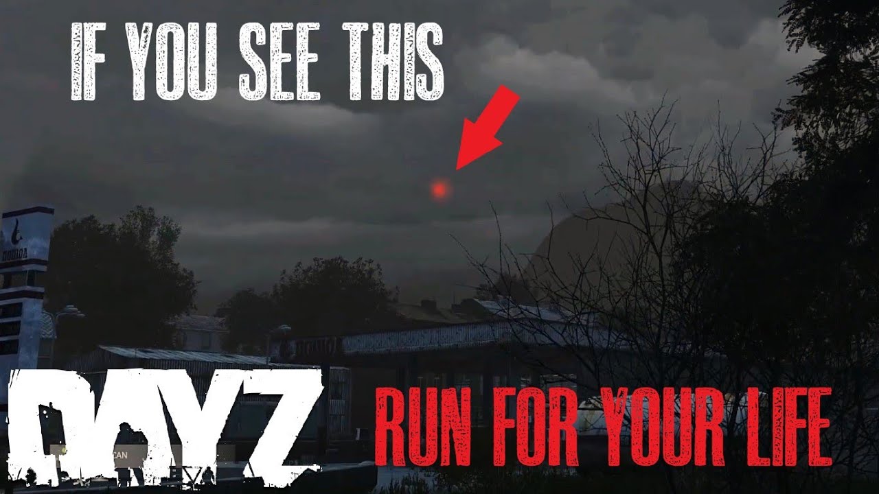 If You See This RUN For Your Life!! DayZ YouTube
