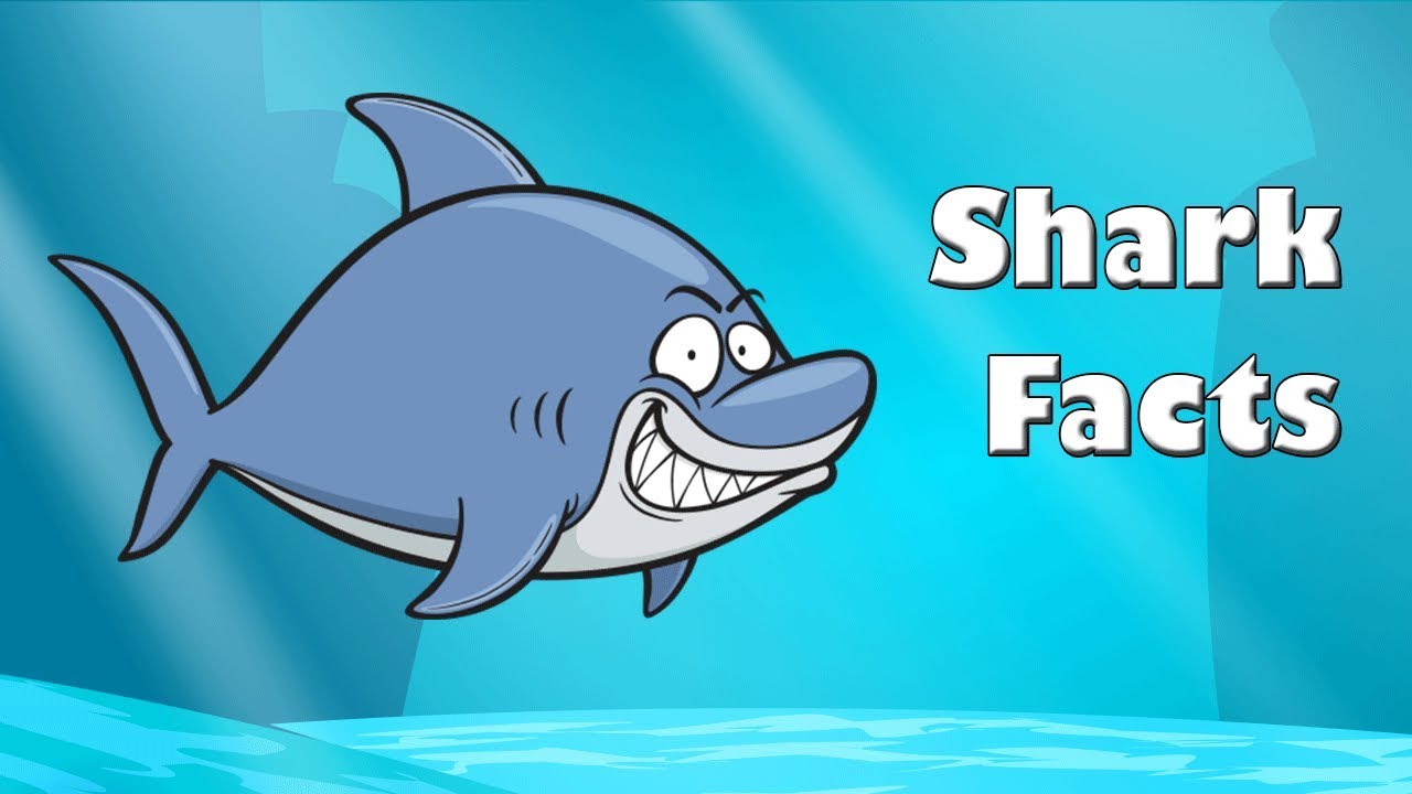 Shark Facts Ocean Animals Animated Youtube Shark Facts For Kids Shark Facts Sharks For Kids