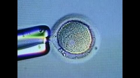 Can gene editing fix genetic mutations in embryos?