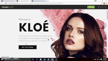How to preview theme forest wordpress templates