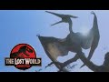 The lost world jurassic park 1997  geosternbergia screen time