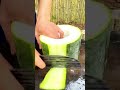 Winter melon peeling and sharing