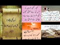 Amazing collection new dp quotes in urduislamic quotes in urdu mrafiqmrafiq youtube trending