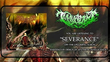 Immurement -  Severance (OFFICIAL LYRIC PROMO VIDEO 2019)