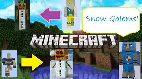 Minecraft - SNOW GOLEM HIDE AND SEEK! (3) Birthday Skin Pack