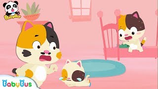 why did baby kitten fall down big and small song kids safety tips number counting songbabybus