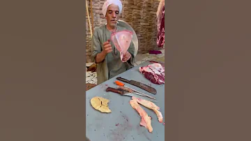 شاهد ماذا تفعل فى عظمه السحر يوم عيد الاضحى هااام جداا 