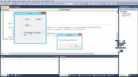 VB Net Insérer,Modifier et Supprimer des données by elinani