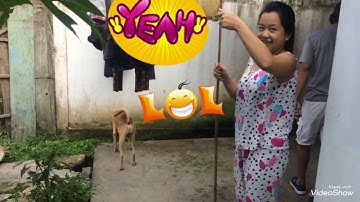 Câu cá ở đìa nhà - Gò Công Tây, Tiền Giang// Ba Nồ vs Má Nồ