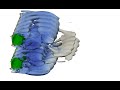 Two circular pipes with strakes in crossflow