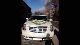 Cadillac Escalade Platinum Cadillac Escalade Platinum