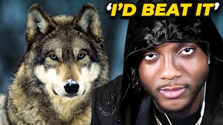 YourRAGE Reacts To ARE WOLVES OP TierZoo