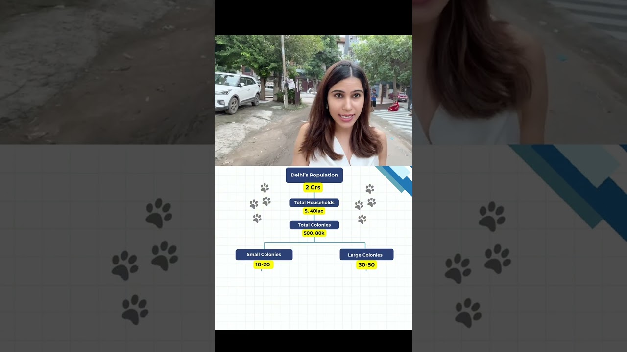 Can You Guess Delhi's Stray Dogs Count? 