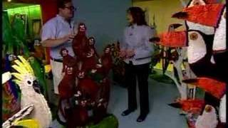 Hunt Slonem CBS Sunday Morning Profile