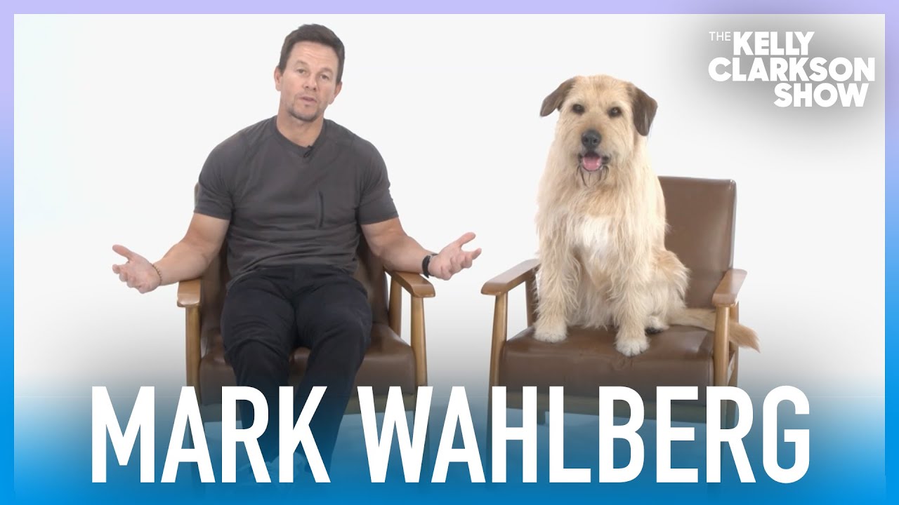 Mark Wahlberg Teams Up With Best Friend's Animal Society To Promote Pet
