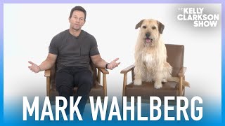 Mark Wahlberg Teams Up With Best Friend's Animal Society To Promote Pet Adoption