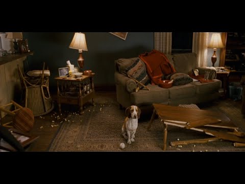 Underdog (2007) - cleaning the mess + dad comes home