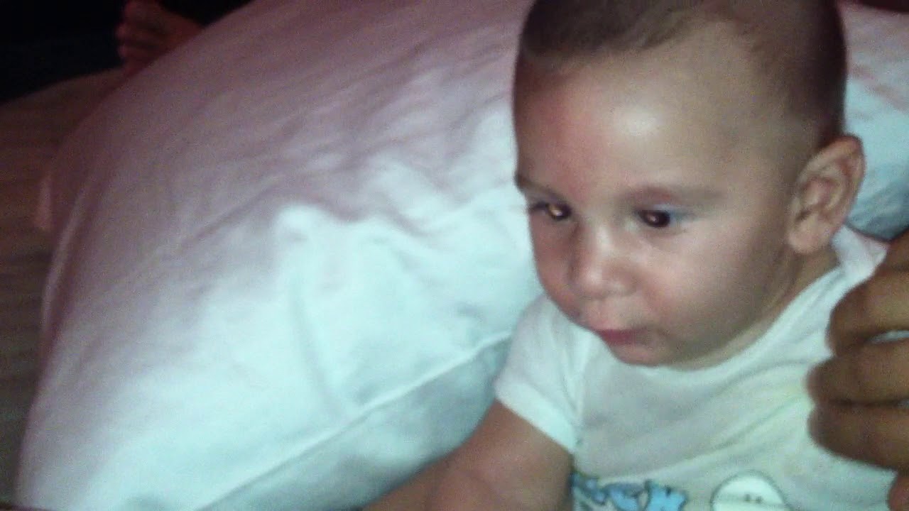 Baby Milo eating the pillows YouTube