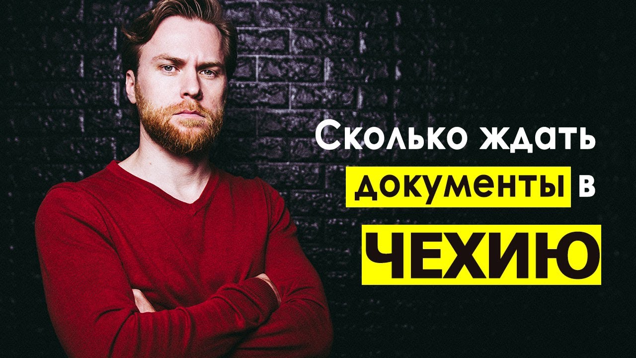 Сколько ждать документы, чтобы уехать в Чехию на работу.