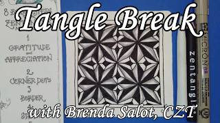 TANGLE BREAK FRAGMENTS: TB-F19 Fragment D1 - 2026 | TangleBreak