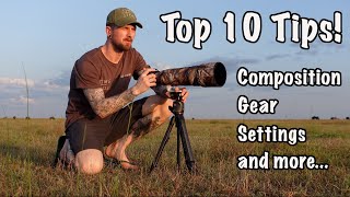 My Top 10 Tips for a Photographic Safari