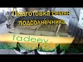 Подготовка семян подсолнечника на заводе "Фадеев Агро"