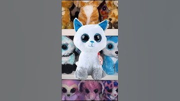 BEANIE BOOS IN REAL LIFE Part 10 #beanieboo #beanieboos  #shorts #viral  #collector