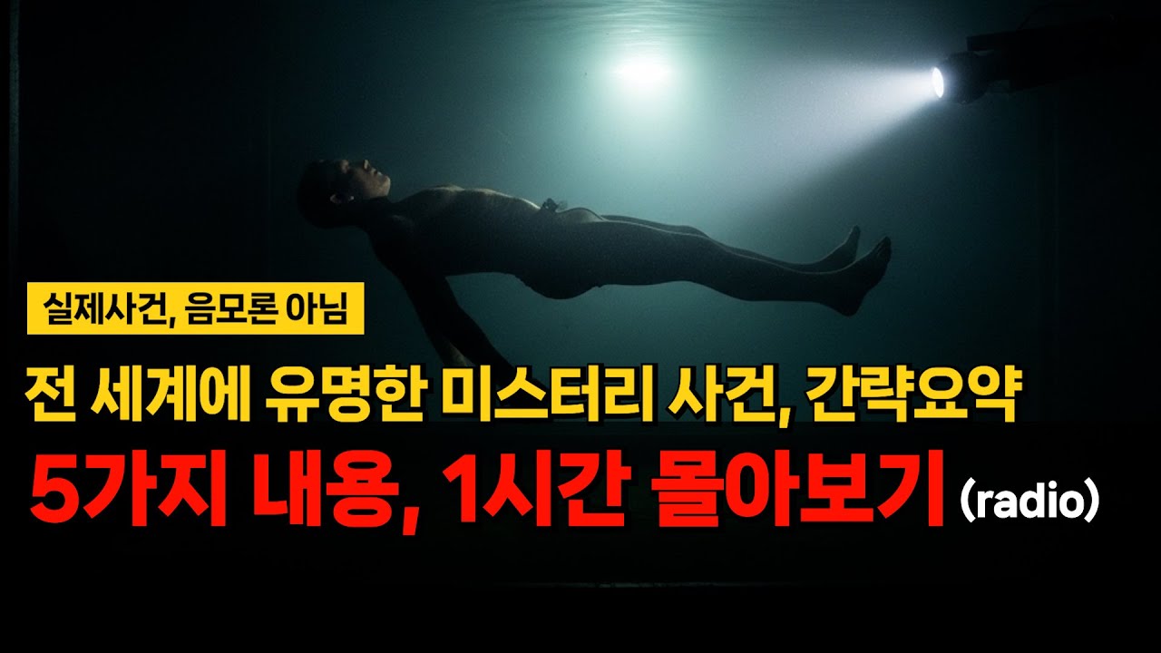 넷플릭스 영화로도 만들어진 전세계 미스터리 top5