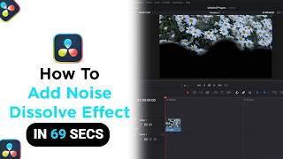 How to Add Noise Dissolve Effect on Davinci Resolve [NEW]