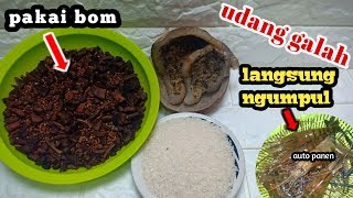 Ramuan ajaib untuk memanggil udang galah dan ikan
