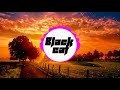 Black cat  ehrling   sthlm sunset remix bass mode