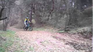 WP 20151121 11 25 08 Pro