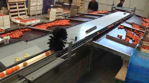 Fruit grading machine with eNod4 weighing controller - Calibreuse avec transmetteur de pesage eNod4